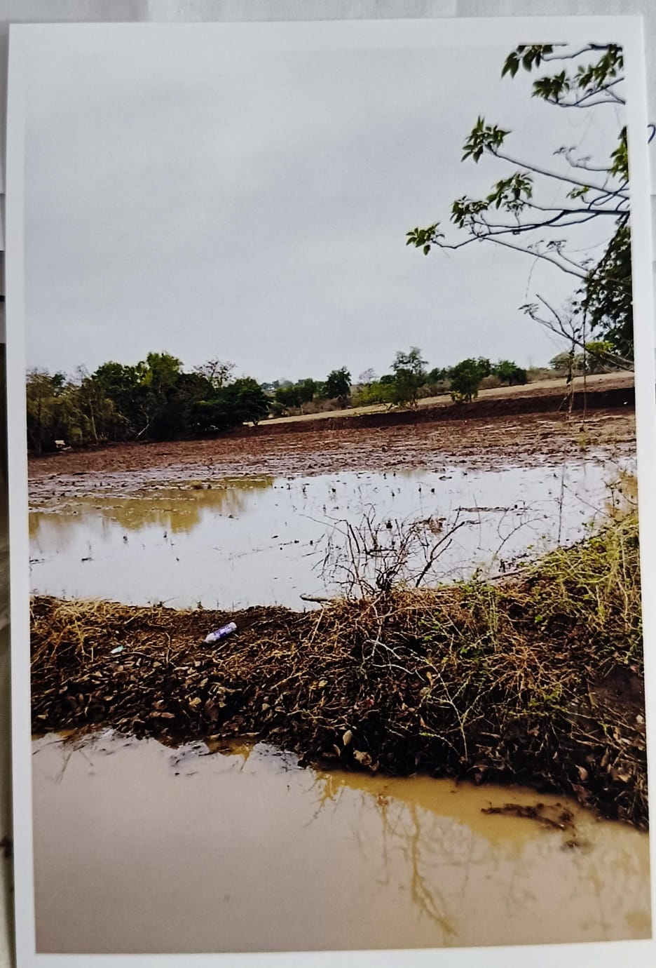 तिवसा ग्रामीण क्षेत्र में तुफानी बारीश होने से किसानों का और मजदुरों का हुआ बहुत बडा नुकसान।