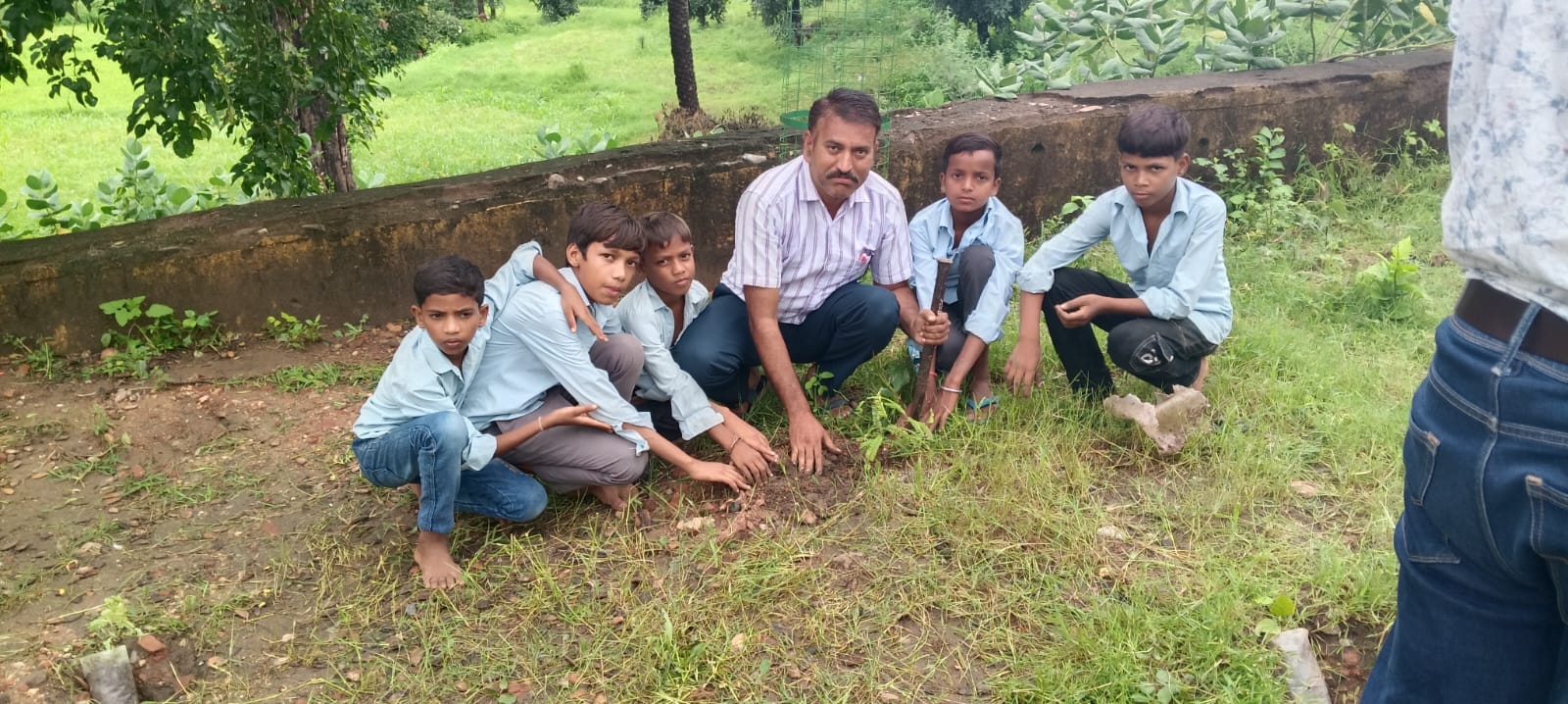 सलूंबर जिले के,राजकीय उच्च माध्यमिक विद्यालय बोरज में वृक्षारोपण किया गया