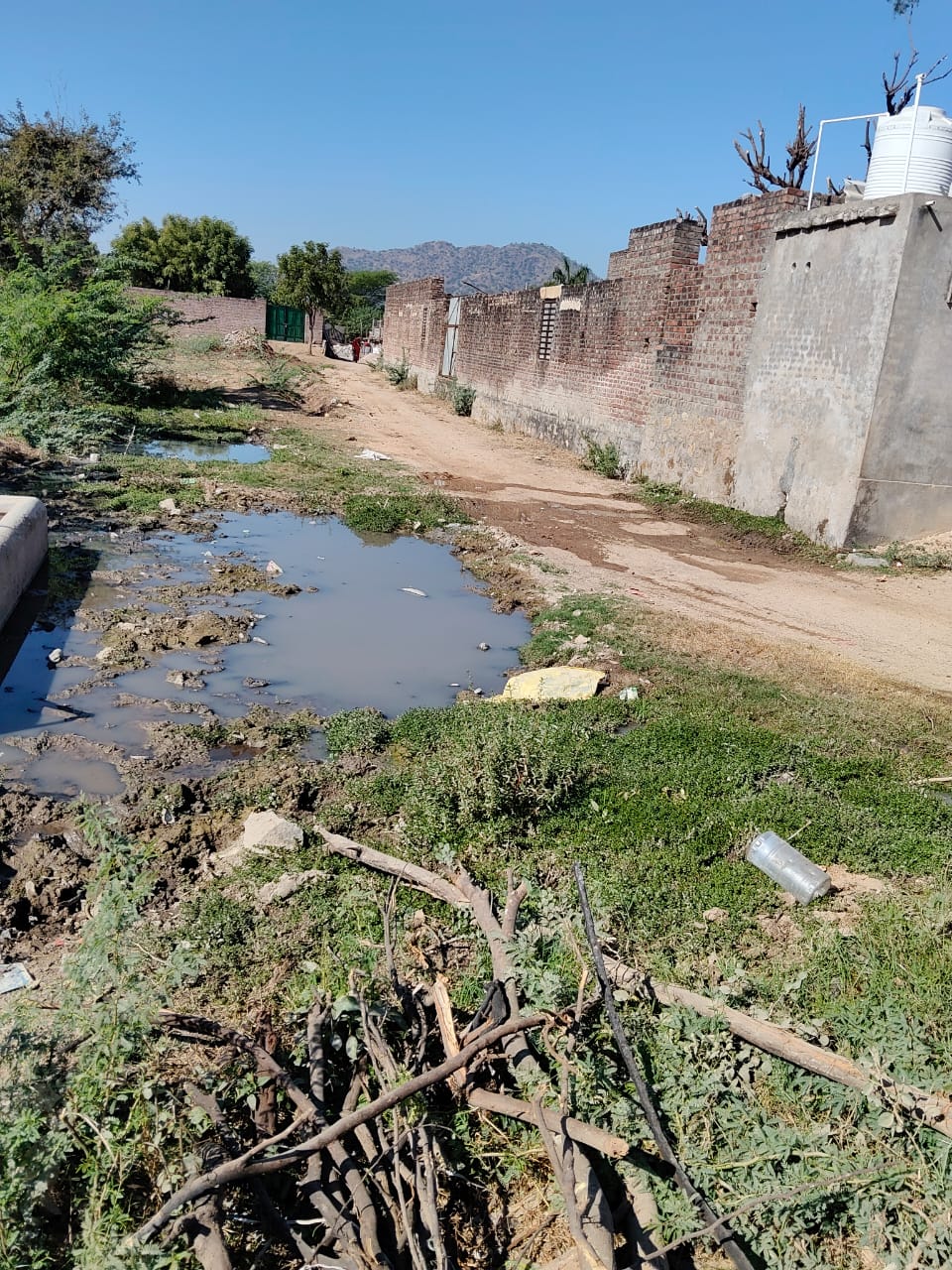 ग्राम पंचायत की अकर्मण्यता से पब्लिक परेशान