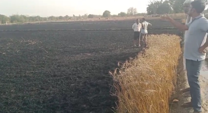 अचानक बिजली के कारण लगी आग ने किसान की मेहनत पर पानी फेर दिया।